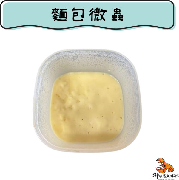 麵包微蟲