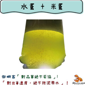 綜合蚤(水蚤+米蚤)