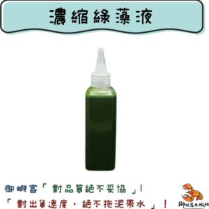 千倍濃縮綠藻液