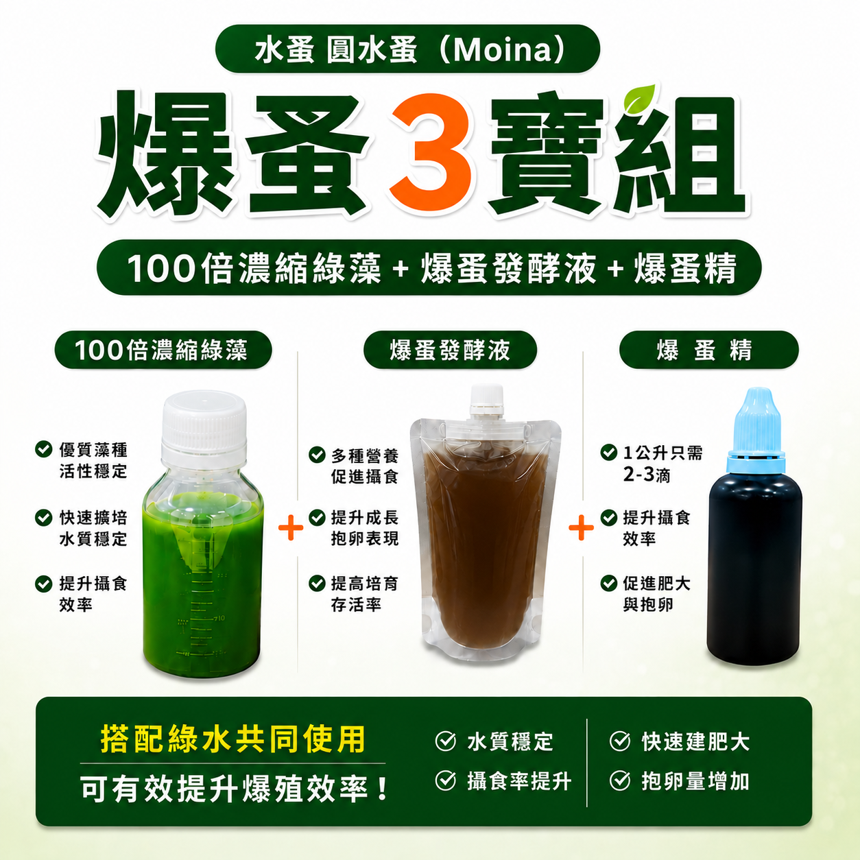 水蚤 爆蚤精 (圓水蚤專用):圖片 2
